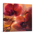 Annette Schmucker | Orchids