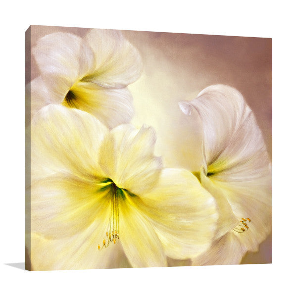 Annette Schmucker | White Amaryllis