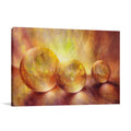 Annette Schmucker | Golden Light