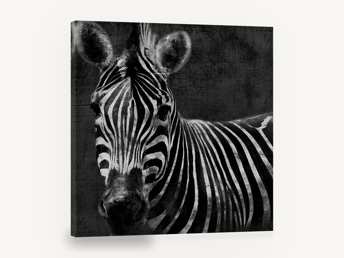 Dusk Zebra Stare, black and white zebra portrait, animal canvas wall art print ready to hang