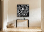 Grey Tiger Gaze animal canvas print on the wall of a hallway