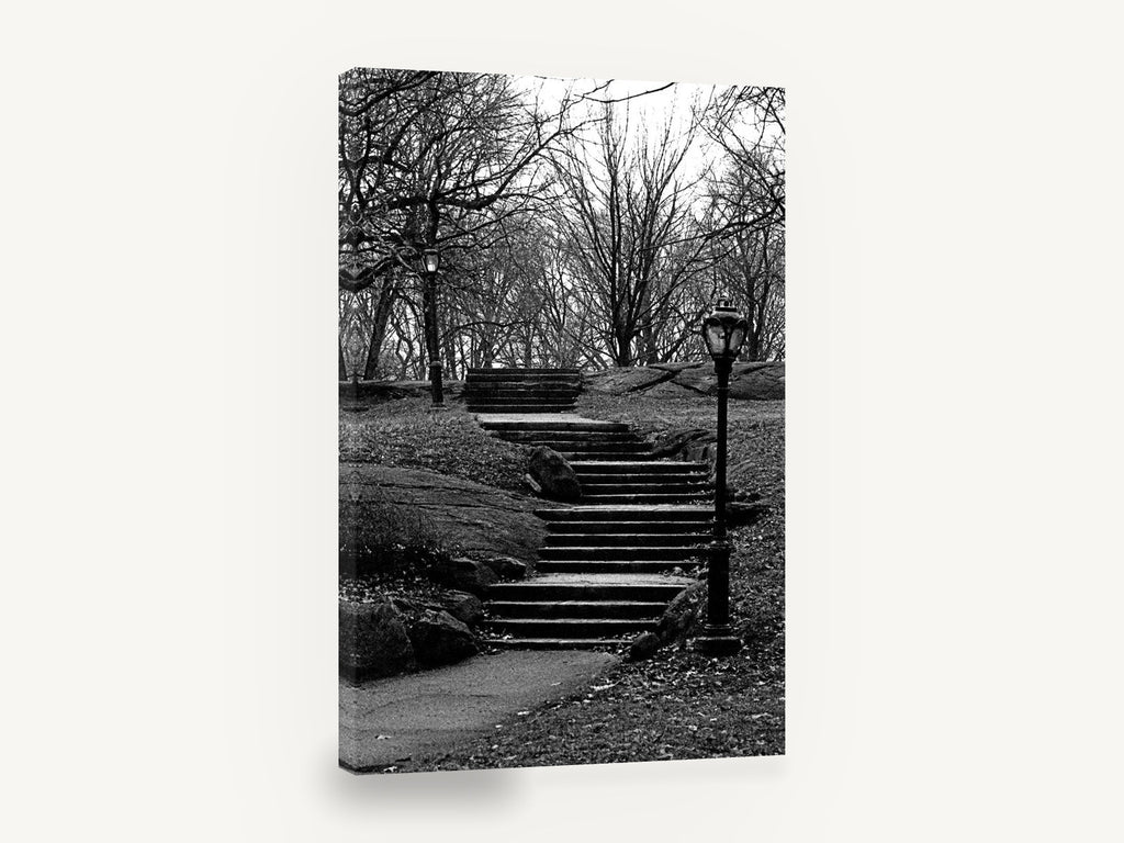 Park Stairs in Winter, central park stairs black and white photograph, city canvas wall art print ready to hang
