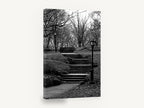 Park Stairs in Winter, central park stairs black and white photograph, city canvas wall art print ready to hang