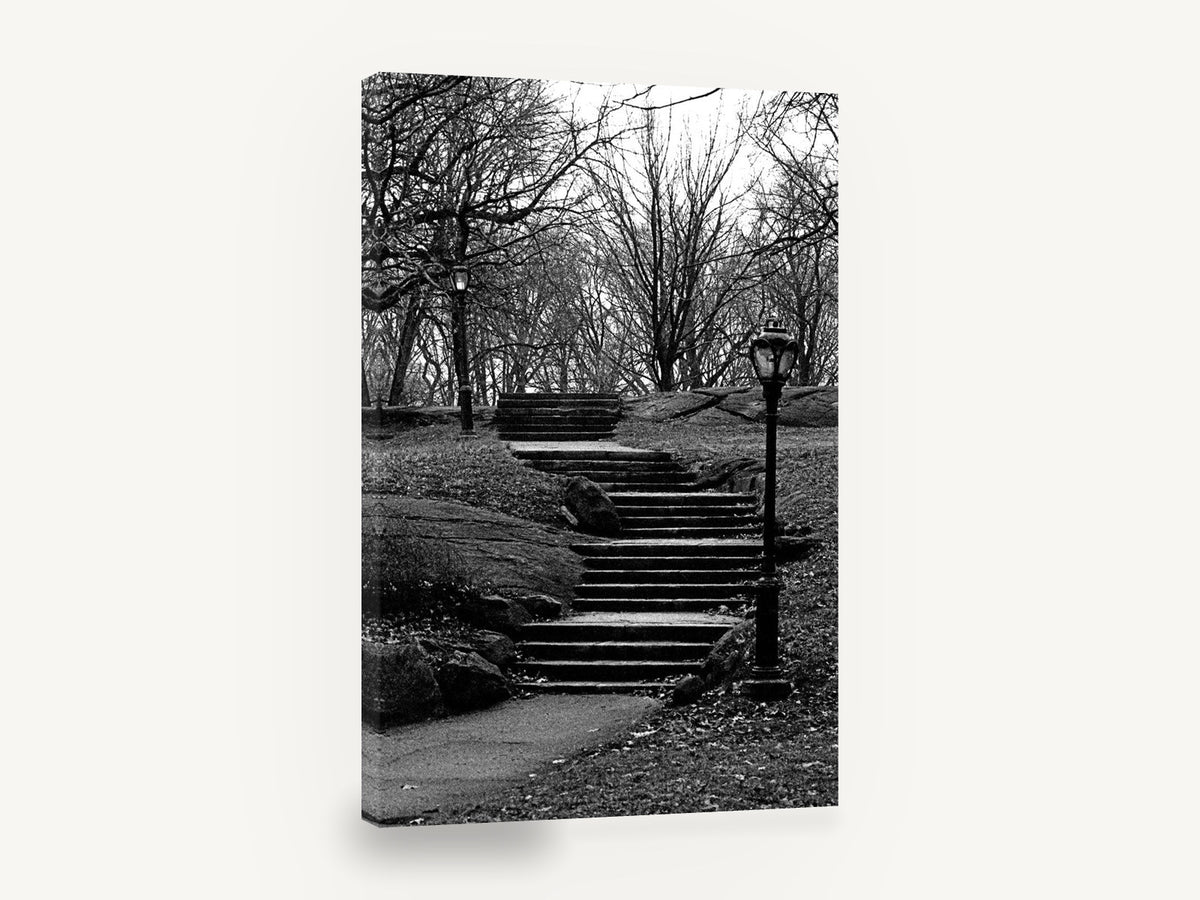 Park Stairs in Winter, central park stairs black and white photograph, city canvas wall art print ready to hang