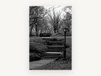 Park Stairs in Winter, central park stairs black and white photograph, city canvas wall art print, front view