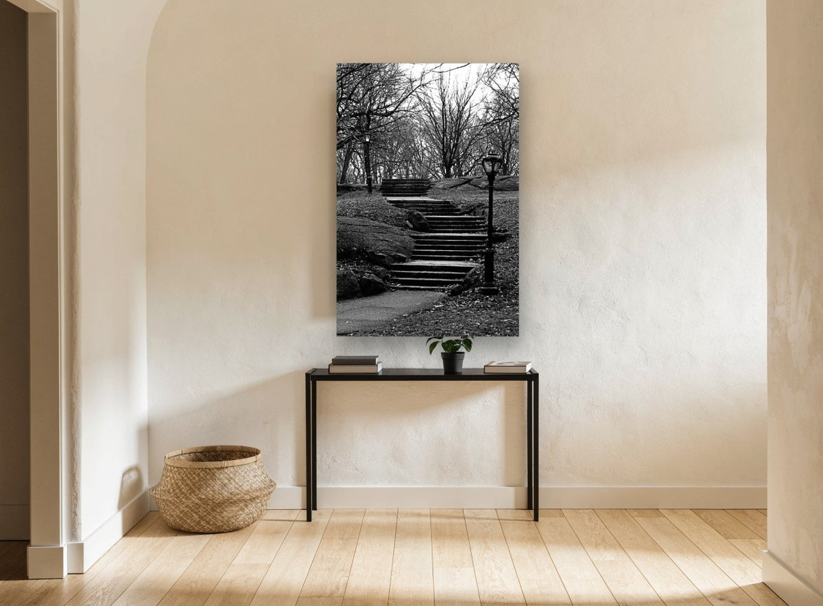 Park Stairs in Winter city canvas print on the wall of a hallway