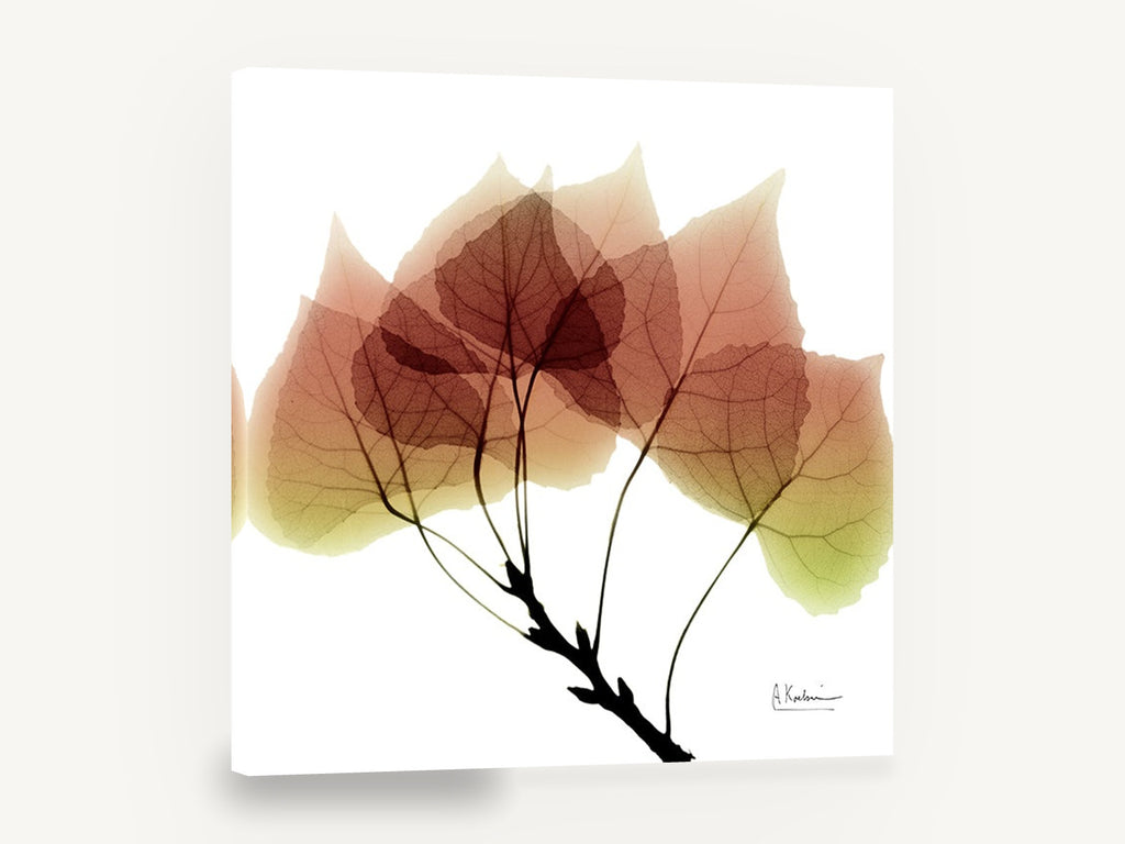 Translucent Aspen Branch, aspen leaves x-ray style botanical, floral canvas wall art print ready to hang