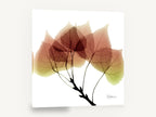 Translucent Aspen Branch, aspen leaves x-ray style botanical, floral canvas wall art print ready to hang