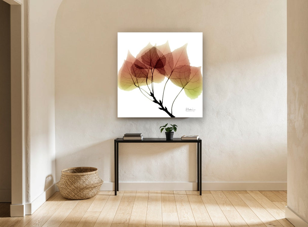 Translucent Aspen Branch floral canvas print on the wall of a hallway