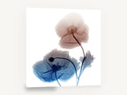 Twin Poppies in Rust and Blue, iceland poppy x-ray style floral, floral canvas wall art print ready to hang