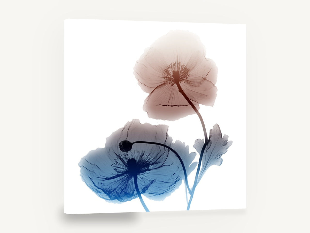 Twin Poppies in Rust and Blue, iceland poppy x-ray style floral, floral canvas wall art print ready to hang