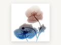 Twin Poppies in Rust and Blue, floral canvas wall art print, front view