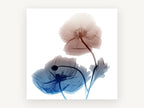 Twin Poppies in Rust and Blue, floral canvas wall art print, front view