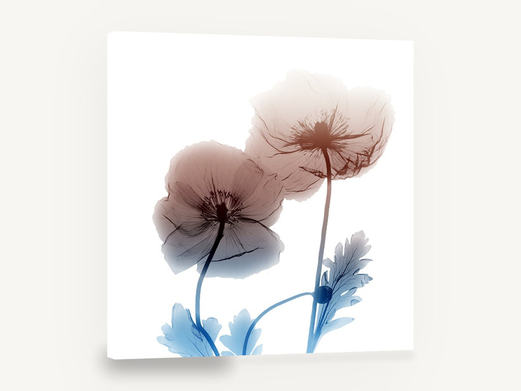 Translucent Poppy Pair, iceland poppy x-ray style floral, floral canvas wall art print ready to hang