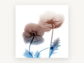 Translucent Poppy Pair, floral canvas wall art print, front view