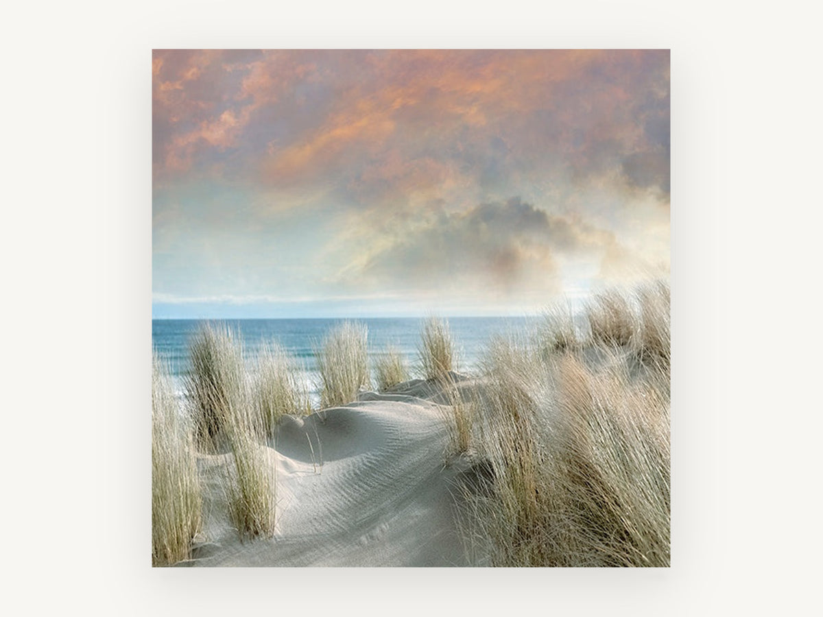 Dune Grass Dawn, coastal canvas wall art print, front view