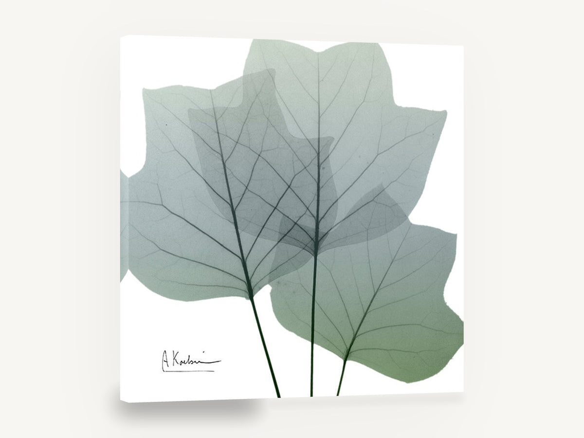 Translucent Tulip Leaves, green tulip leaf x-ray botanical, floral canvas wall art print ready to hang