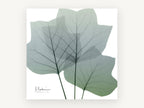 Translucent Tulip Leaves, floral canvas wall art print, front view