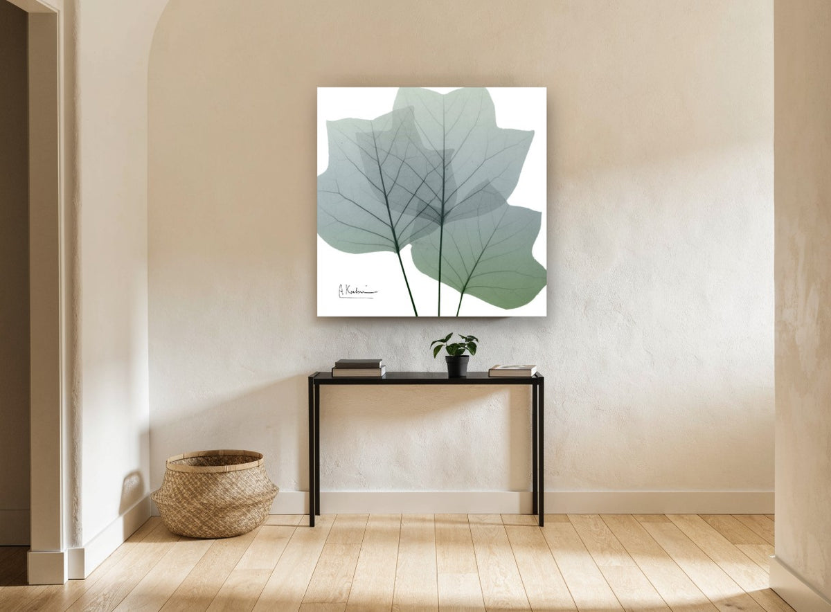 Translucent Tulip Leaves floral canvas print on the wall of a hallway