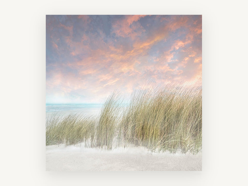 Windswept Dune Grass, coastal canvas wall art print, front view