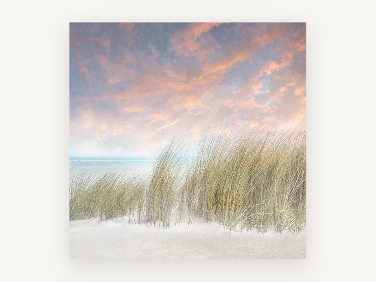 Windswept Dune Grass, coastal canvas wall art print, front view