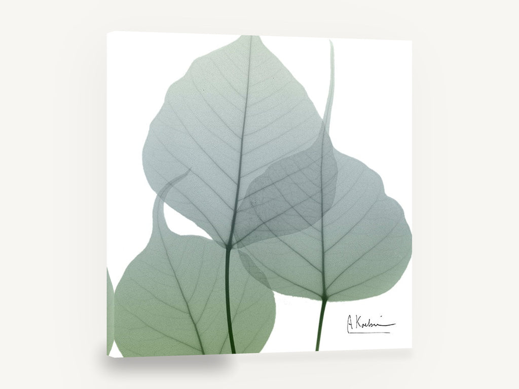 Sage Leaf Veils, translucent green leaves x-ray botanical, floral canvas wall art print ready to hang