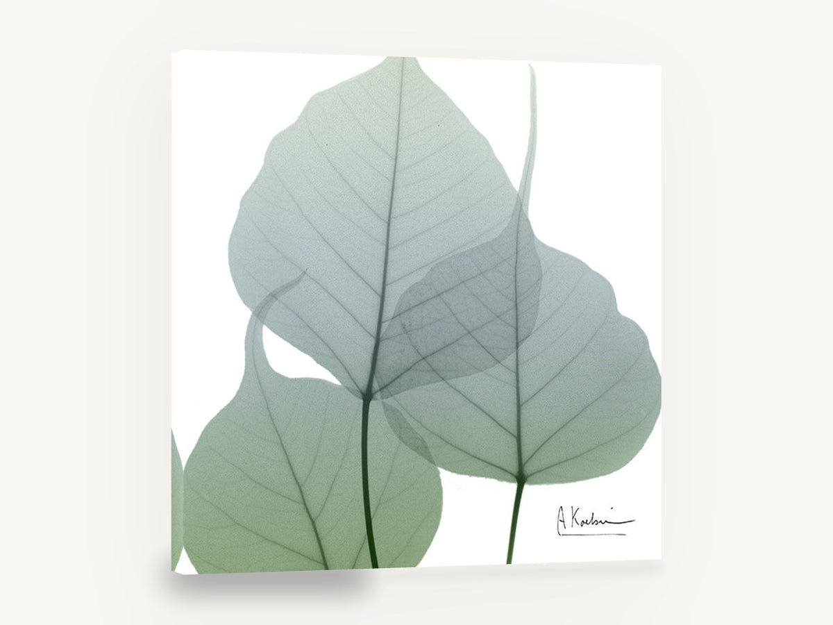 Sage Leaf Veils, translucent green leaves x-ray botanical, floral canvas wall art print ready to hang