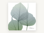 Sage Leaf Veils, floral canvas wall art print, front view