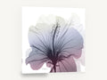 Hibiscus in Dusk Light, hibiscus x-ray style floral, floral canvas wall art print ready to hang
