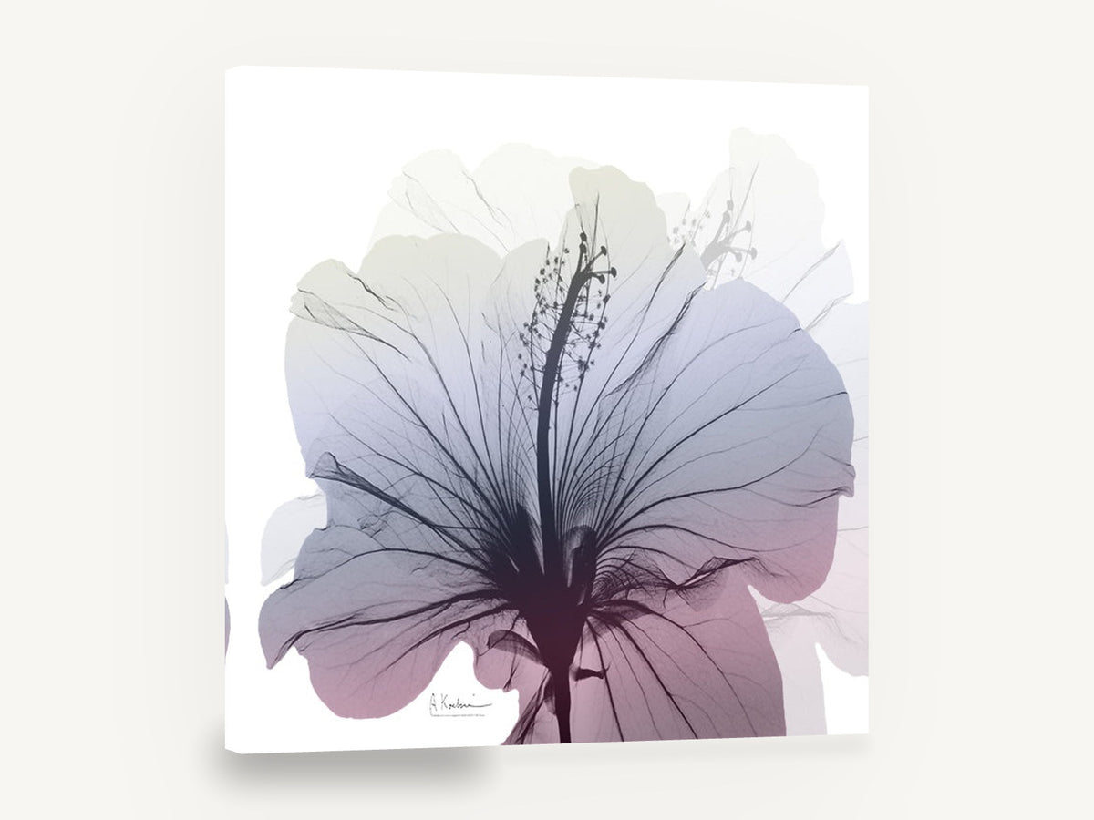Hibiscus in Dusk Light, hibiscus x-ray style floral, floral canvas wall art print ready to hang