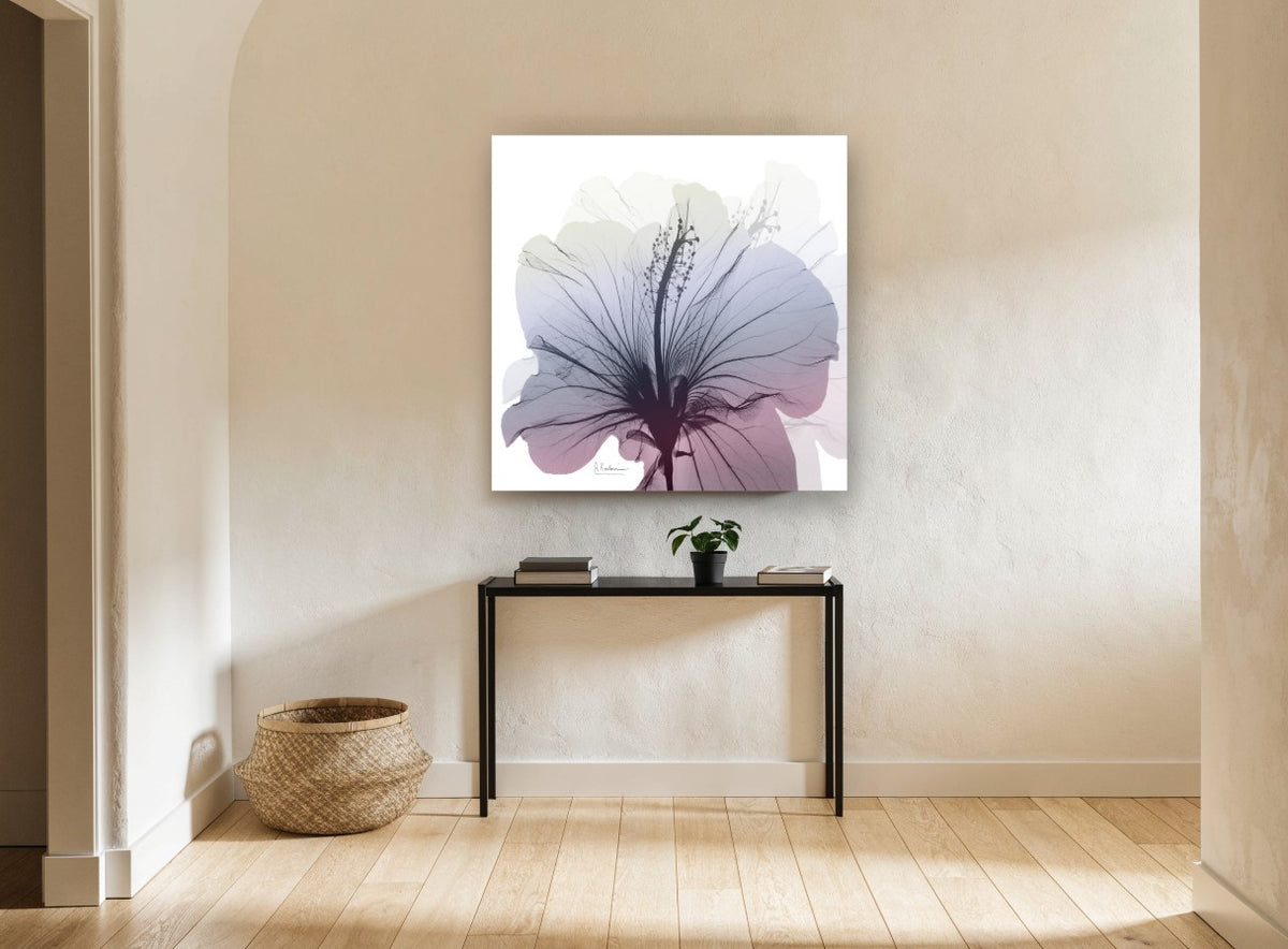 Hibiscus in Dusk Light floral canvas print on the wall of a hallway