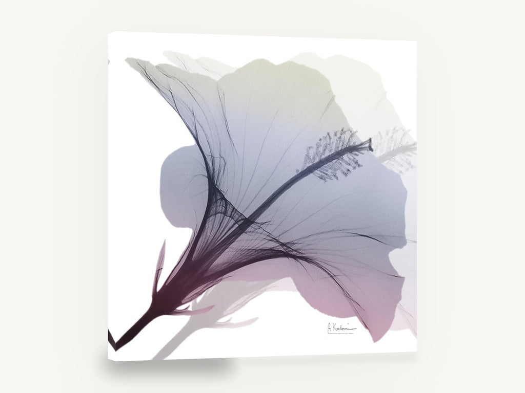Misted Hibiscus Bloom, hibiscus x-ray style floral, floral canvas wall art print ready to hang
