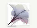 Misted Hibiscus Bloom, hibiscus x-ray style floral, floral canvas wall art print ready to hang