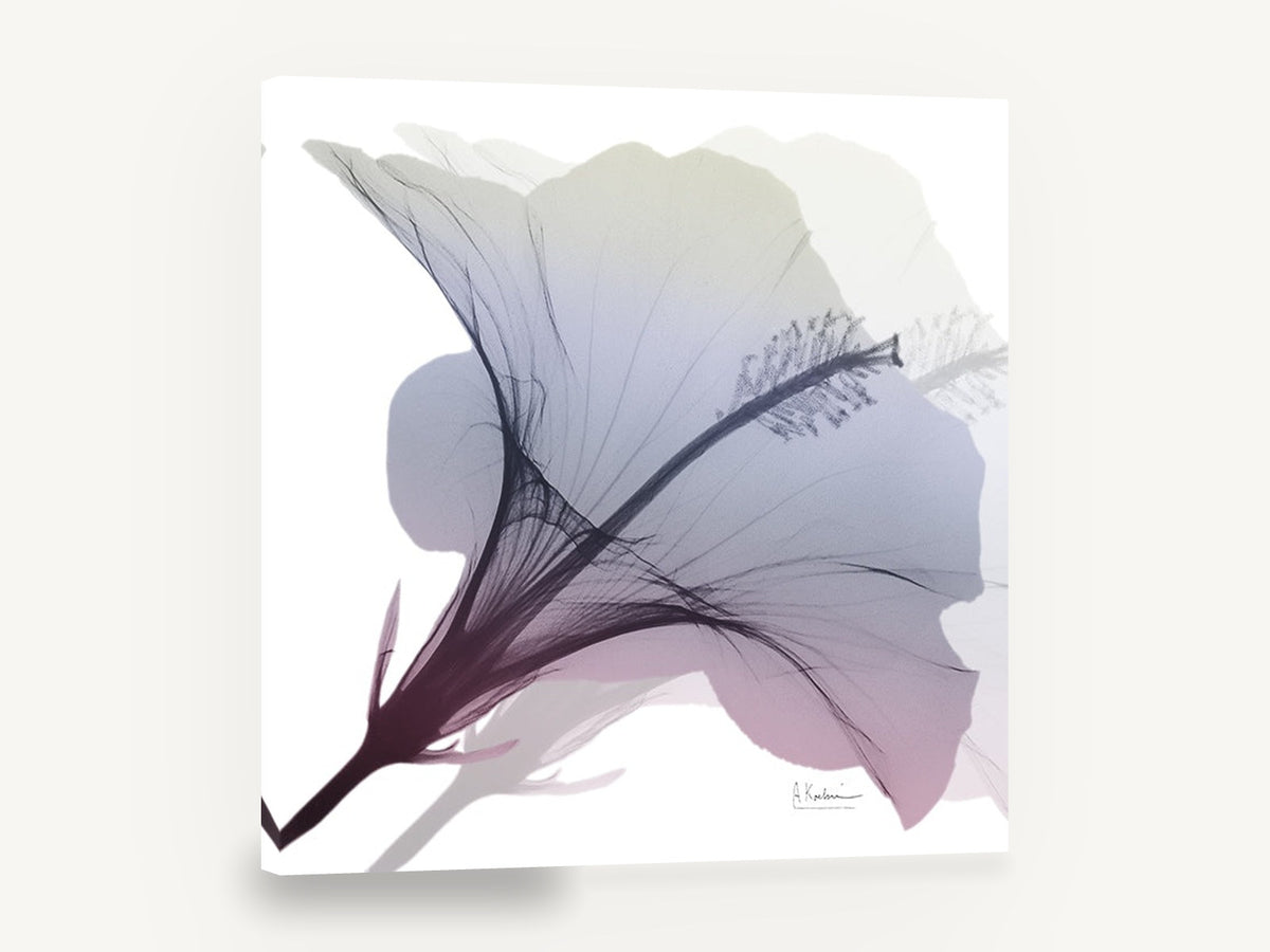 Misted Hibiscus Bloom, hibiscus x-ray style floral, floral canvas wall art print ready to hang