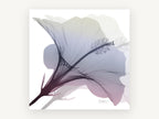 Misted Hibiscus Bloom, floral canvas wall art print, front view