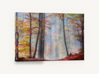 Amber Beech Haze, autumn beech forest mist photograph, landscape canvas wall art print ready to hang