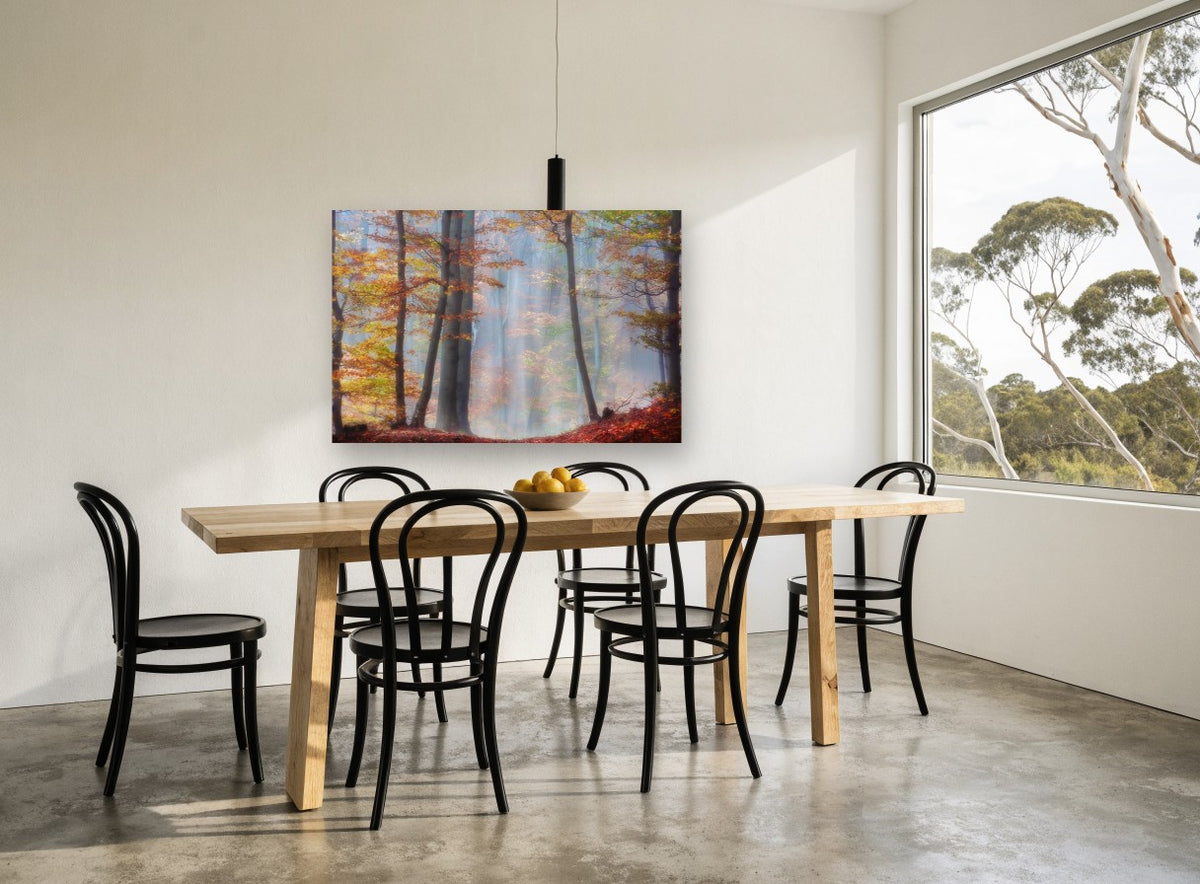 Amber Beech Haze landscape canvas print on the wall of a dining room