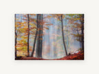 Amber Beech Haze, autumn beech forest mist photograph, landscape canvas wall art print, front view