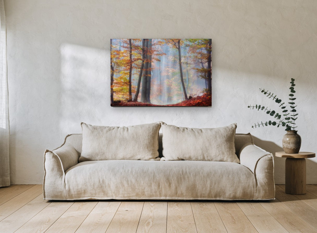Amber Beech Haze landscape canvas print on the wall of a living room