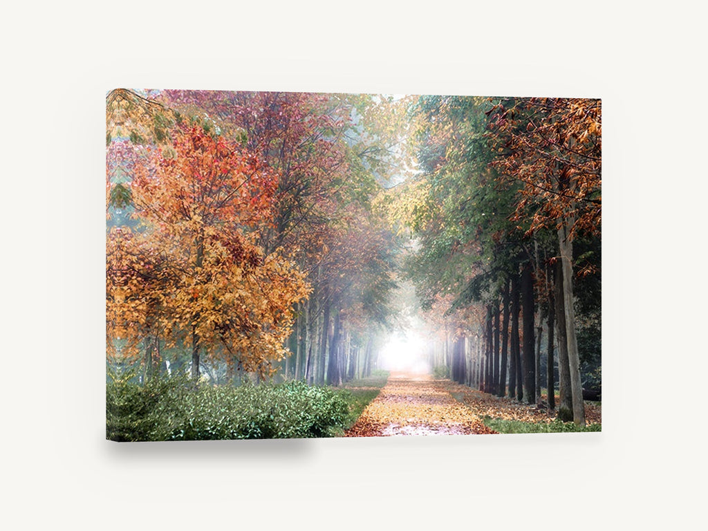 Autumn Lane Glow, misty autumn tree lined path photograph, landscape canvas wall art print ready to hang