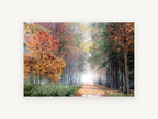 Autumn Lane Glow, misty autumn tree lined path photograph, landscape canvas wall art print, front view