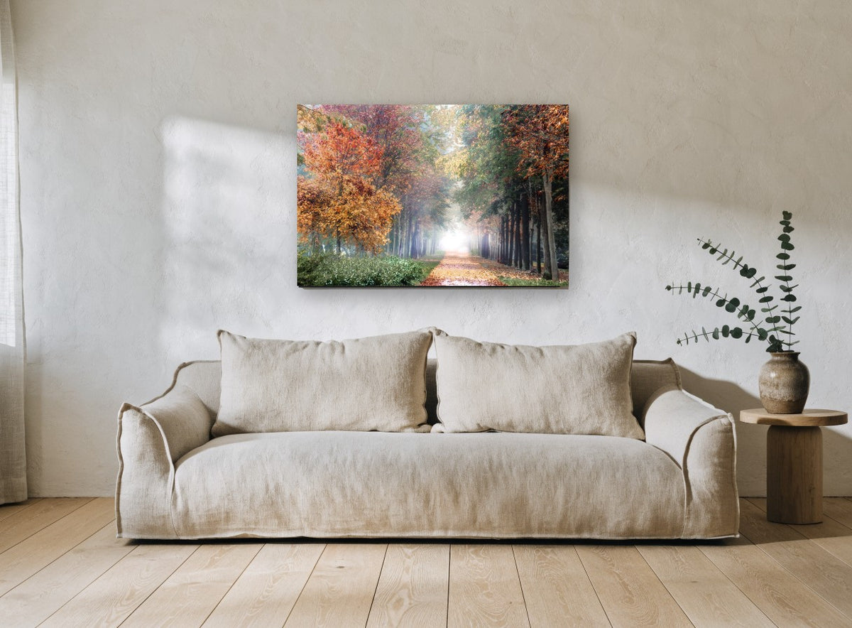 Autumn Lane Glow landscape canvas print on the wall of a living room