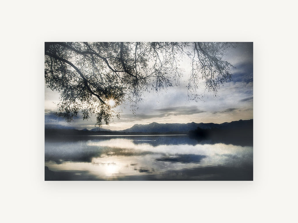 Silver Lake Branches, misty lake sunset tree photograph, landscape canvas wall art print, front view