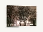 Lamplit Winter Trees, foggy night trees photograph, landscape canvas wall art print ready to hang