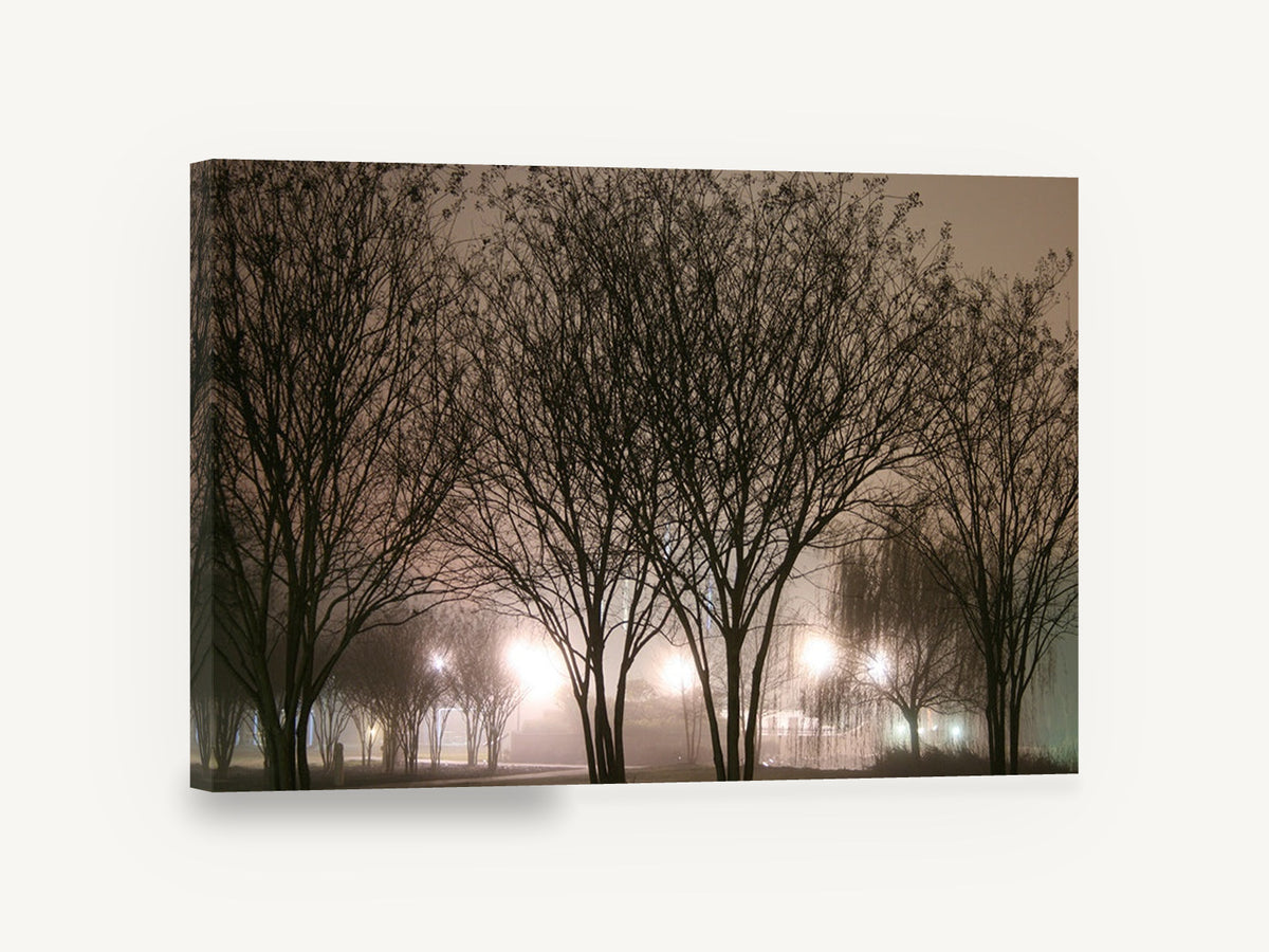 Lamplit Winter Trees, foggy night trees photograph, landscape canvas wall art print ready to hang