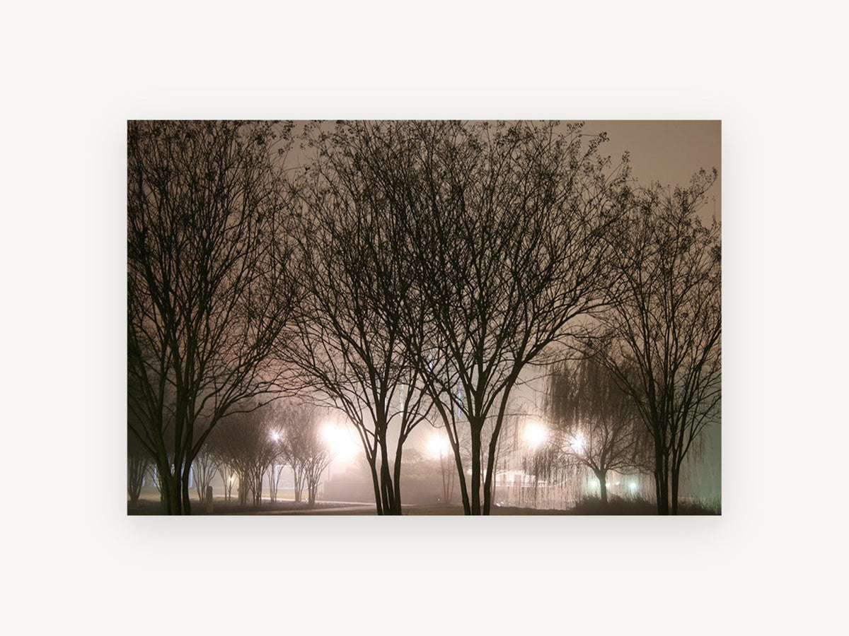 Lamplit Winter Trees, foggy night trees photograph, landscape canvas wall art print, front view