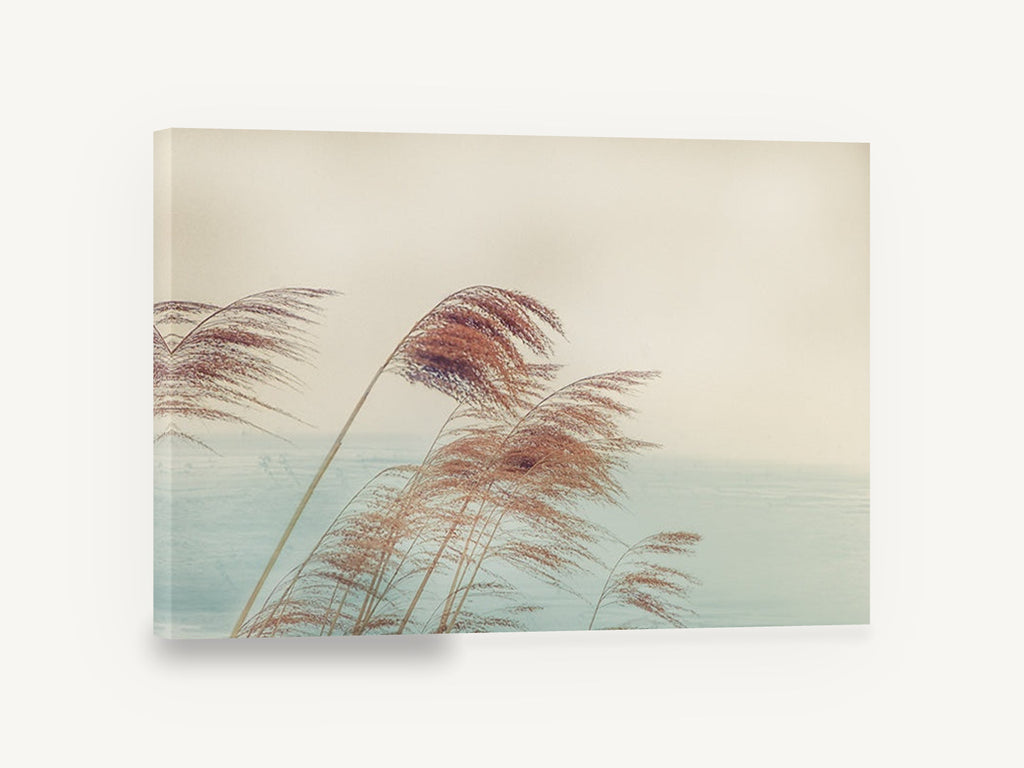 Reeds in the Breeze, windblown reed plumes coastal photograph, floral canvas wall art print ready to hang