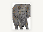 Gilded Grey Elephant, grey elephant illustration with gold, animal canvas wall art print, front view