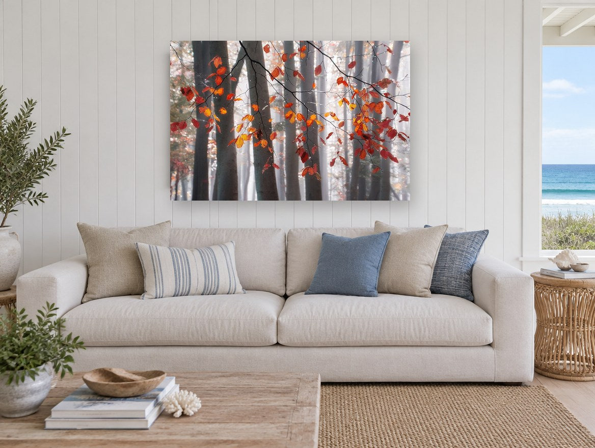 Copper Beech Mist landscape canvas print on the wall of a beach house living room