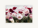 Poppy Meadow Blush, floral canvas wall art print, front view